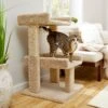 Frisco 32-in Real Carpet Wooden Cat Tree With Toy -Cat Supply Store 208920 MAIN. AC SS1800 V1602682003