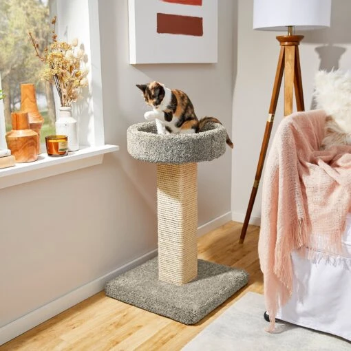 Frisco 32-in Real Carpet Wooden Cat Tree -Cat Supply Store 208956 MAIN. AC SS1800 V1602682018