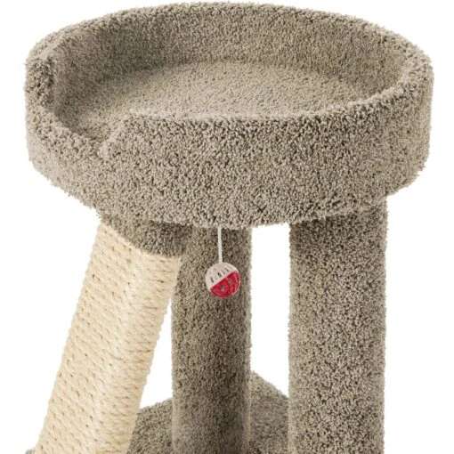 Frisco 24-in Real Carpet Cat Scratching Perch With Toy -Cat Supply Store 208960 PT3. AC SS1800 V1589221651