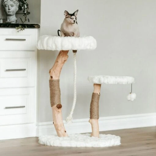 Mau Lifestyle Rizzo 32-in Modern Wooden Cat Tree -Cat Supply Store 211709 MAIN. AC SS1800 V1626356556