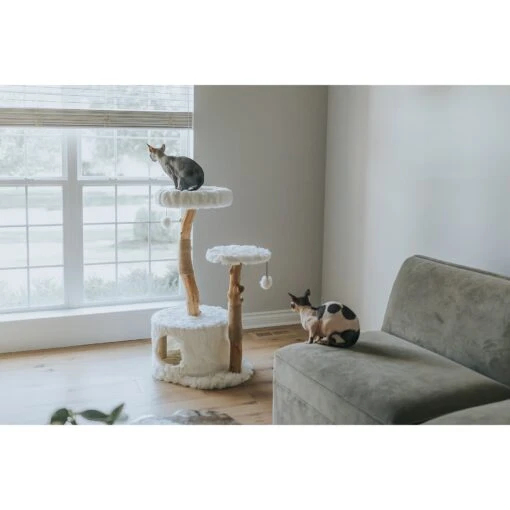 Mau Lifestyle Alba 43-in Modern Wooden Cat Tree & Condo -Cat Supply Store 211717 PT1. AC SS1800 V1632953179