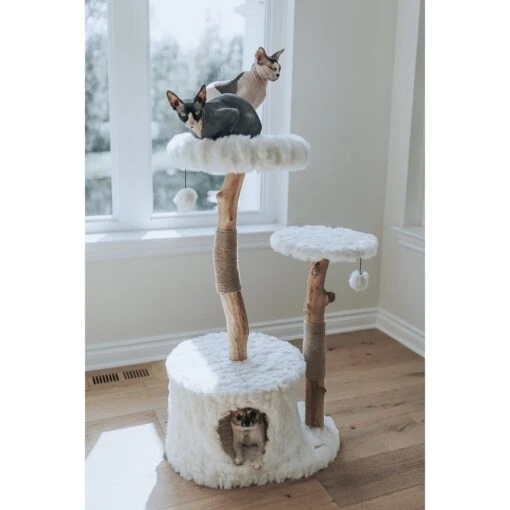 Mau Lifestyle Alba 43-in Modern Wooden Cat Tree & Condo -Cat Supply Store 211717 PT5. AC SS1800 V1632954718