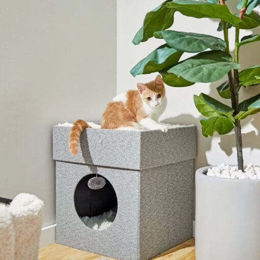 Frisco Single Cube Stackable And Collapsible Cat Condo -Cat Supply Store 214367 MAIN. AC SS1800 V1606832429