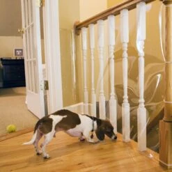 Cardinal Gates Indoor Banister Dog & Cat Shield Protector, Clear -Cat Supply Store 217345 PT2. AC SS1800 V1628003803