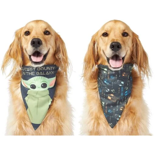 STAR WARS THE MANDALORIAN GROGU "Cutest Bounty" Reversible Dog & Cat Bandana -Cat Supply Store 220290 MAIN. AC SS1800 V1646442780