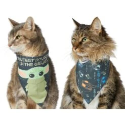 STAR WARS THE MANDALORIAN GROGU "Cutest Bounty" Reversible Dog & Cat Bandana -Cat Supply Store 220290 PT2. AC SS1800 V1646443013