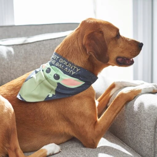 STAR WARS THE MANDALORIAN GROGU "Cutest Bounty" Reversible Dog & Cat Bandana -Cat Supply Store 220290 PT7. AC SS1800 V1646442795