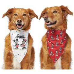 Disney Mickey Mouse & Minnie Mouse "Sweet As Can Be" Reversible Dog & Cat Bandana -Cat Supply Store 220293 PT4. AC SS1800 V1637667456