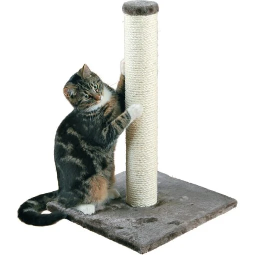 TRIXIE Parla 24.4-in Fleece Cat Scratching Post -Cat Supply Store 221624 PT1. AC SS1800 V1686337074