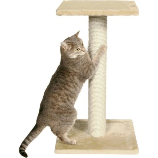 TRIXIE Espejo 27.2-in Fleece Cat Scratching Post -Cat Supply Store 221626 pt1. AC SS1800 V1582055001