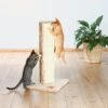 TRIXIE Soria 31.5-in Plush Tower Cat Scratching Post -Cat Supply Store 221639 main. AC SS1800 V1582064609