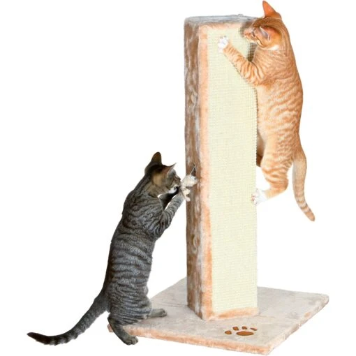 TRIXIE Soria 31.5-in Plush Tower Cat Scratching Post -Cat Supply Store 221639 pt1. AC SS1800 V1582066738