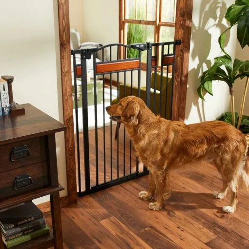 Frisco Wood Accents Extra Tall Auto-close Dog Gate -Cat Supply Store 221968 MAIN. AC SS1800 V1595281859