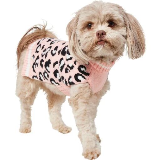 Frisco Leopard Print Dog & Cat Sweater -Cat Supply Store 223755 PT2. AC SS1800 V1599500522