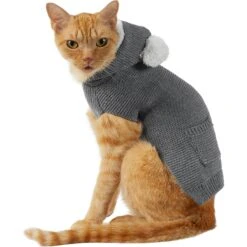 Frisco Bear Hooded Dog & Cat Sweater -Cat Supply Store 223786 PT2. AC SS1800 V1608820349