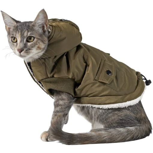 Frisco Mid-Heavyweight Love Insulated Dog & Cat Coat -Cat Supply Store 224034 PT2. AC SS1800 V1599498998