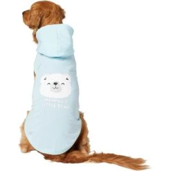 Frisco Mommy's Little Bear Dog & Cat Hoodie -Cat Supply Store 224272 PT2. AC SS1800 V1637691116