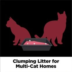 Arm & Hammer Litter Platinum Clump & Seal Cat Litter -Cat Supply Store 229238 PT4. AC SS1800 V1663797650