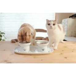 Necoichi Double Dining Tray Set & Elevated Cat Bowls -Cat Supply Store 230660 PT6. AC SS1800 V1631311878