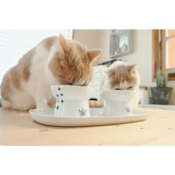 Necoichi Double Dining Tray Set & Elevated Cat Bowls -Cat Supply Store 230660 PT7. AC SS1800 V1631308915