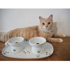 Necoichi Double Dining Tray Set & Elevated Cat Bowls -Cat Supply Store 230660 PT8. AC SS1800 V1631312193