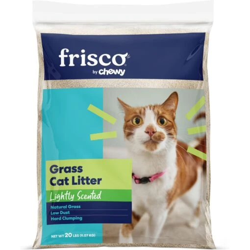 Frisco Natural Lightly Scented Clumping Grass Cat Litter -Cat Supply Store 230714 MAIN. AC SS1800 V1657656283