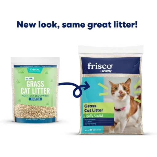 Frisco Natural Lightly Scented Clumping Grass Cat Litter -Cat Supply Store 230714 PT1. AC SS1800 V1657656284