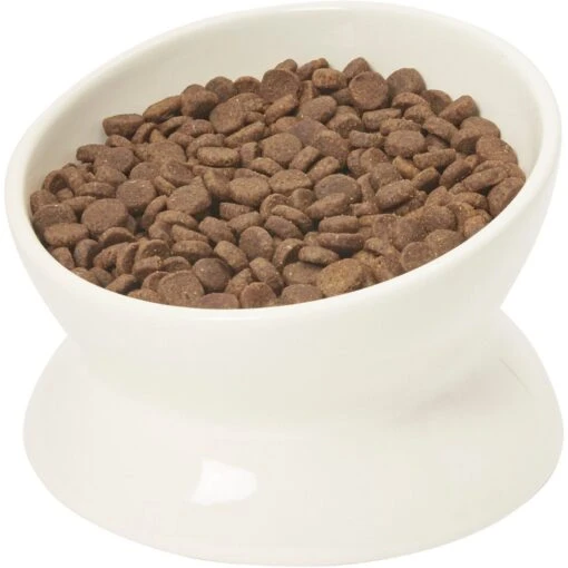 Frisco Double-Sided Ceramic Elevated Cat Bowl -Cat Supply Store 232081 PT6. AC SS1800 V1684760471