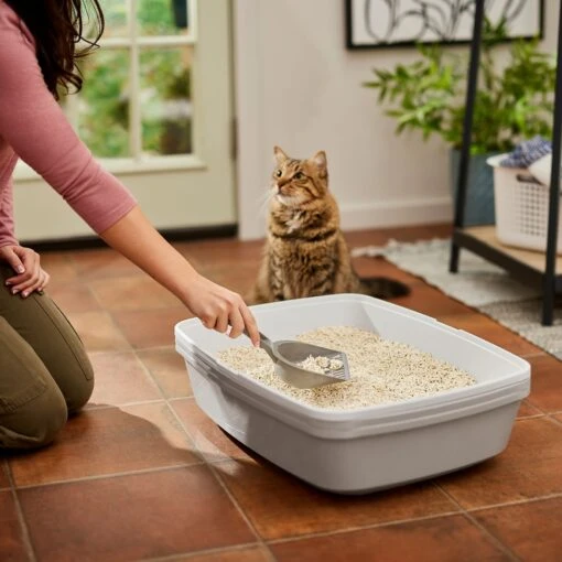 Frisco Tofu Clumping Cat Litter -Cat Supply Store 232117 PT4. AC SS1800 V1659546420