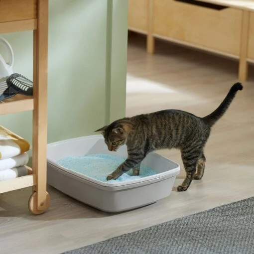 Frisco Micro Crystal Unscented Non-Clumping Crystal Cat Litter -Cat Supply Store 232121 PT4. AC SS1800 V1659546416