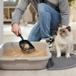 World's Best Multiple Cat Lotus Blossom Scented Clumping Corn Cat Litter -Cat Supply Store 234881 PT3. AC SS1800 V1589318153