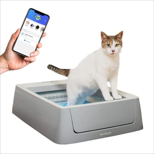 PetSafe ScoopFree Complete Smart Self-Cleaning Litter Box -Cat Supply Store 234884 MAIN. AC SS1800 V1680293667