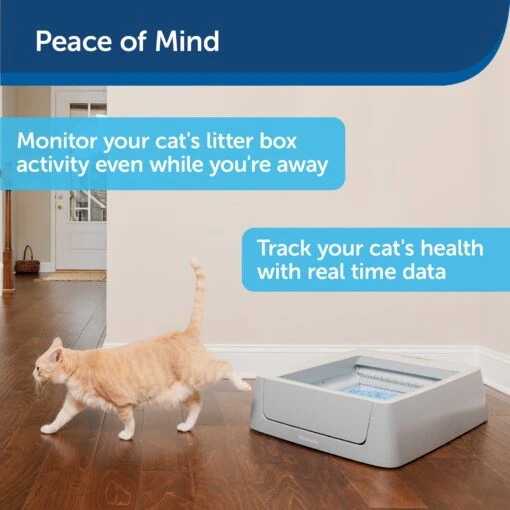 PetSafe ScoopFree Complete Smart Self-Cleaning Litter Box -Cat Supply Store 234884 PT7. AC SS1800 V1589551886