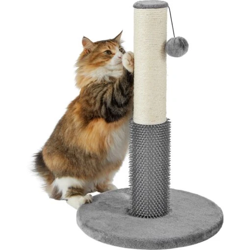 Frisco 21-in Sisal Cat Scratching Post With Toy & Groomer -Cat Supply Store 236533 PT2. AC SS1800 V1615987395