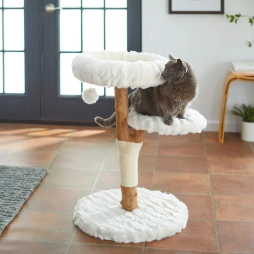 Frisco Natural Wood Modern Cat Tree With Toy, Ivory, Medium -Cat Supply Store 236561 MAIN. AC SS1800 V1616521947