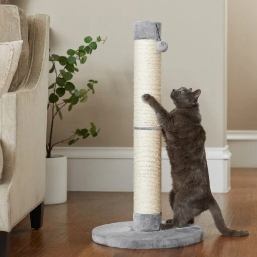 Frisco 35-in Heavy Duty Sisal Cat Scratching Post With Toy -Cat Supply Store 238150 MAIN. AC SS1800 V1616521935