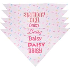 Frisco Birthday Girl Personalized Dog & Cat Bandana -Cat Supply Store 238333 PT4. AC SS1800 V1618507367