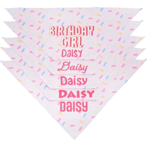 Frisco Birthday Girl Personalized Dog & Cat Bandana -Cat Supply Store 238333 PT4. AC SS1800 V1618507367