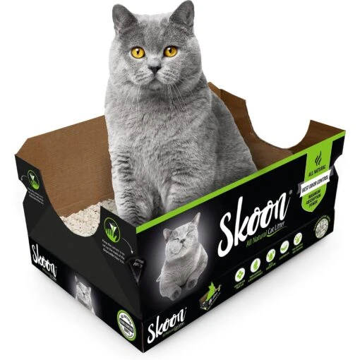 Skoon Unscented Non-Clumping Cat Litter & Disposable Litter Box -Cat Supply Store 239879 MAIN. AC SS1800 V1612368413