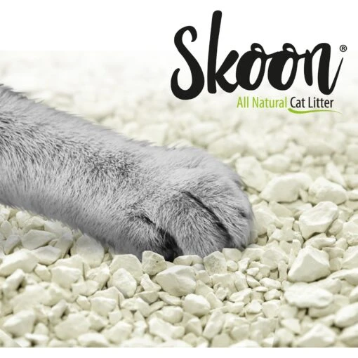 Skoon Unscented Non-Clumping Cat Litter & Disposable Litter Box -Cat Supply Store 239879 PT1. AC SS1800 V1612368476