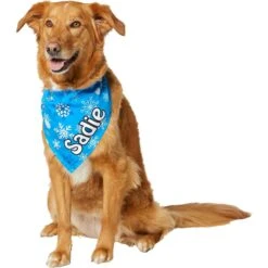 Frisco Blue Snowflakes Personalized Dog & Cat Bandana -Cat Supply Store 242803 PT6. AC SS1800 V1618511278