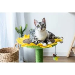 Catry Sunflower 23.2-in Sisal Cat Scratching Post With Toy -Cat Supply Store 244332 PT5. AC SS1800 V1595019083