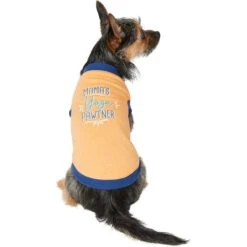 Frisco Mama's Yoga Pawtner Dog & Cat T-Shirt -Cat Supply Store 248966 PT2. AC SS1800 V1624599765