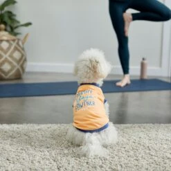 Frisco Mama's Yoga Pawtner Dog & Cat T-Shirt -Cat Supply Store 248966 PT7. AC SS1800 V1614201756