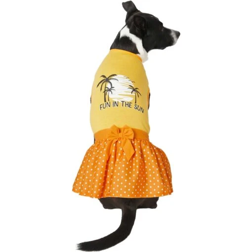 Frisco Fun In The Sun Dog & Cat Dress -Cat Supply Store 249058 PT2. AC SS1800 V1637717879