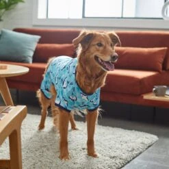 Frisco Happy Shark Dog & Cat Jersey PJs -Cat Supply Store 249122 PT7. AC SS1800 V1614276183