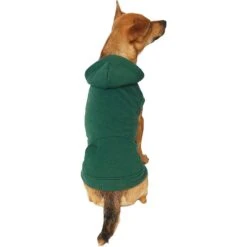 Frisco Dog & Cat Basic Hoodie -Cat Supply Store 249154 PT2. AC SS1800 V1633073480