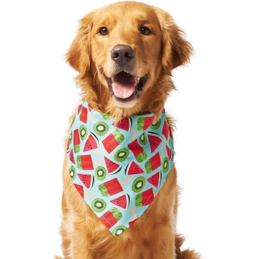 Frisco Fruity Summer Dog & Cat Bandana -Cat Supply Store 249204 PT2. AC SS1800 V1637644629