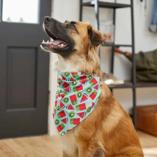 Frisco Fruity Summer Dog & Cat Bandana -Cat Supply Store 249204 PT4. AC SS1800 V1637668676