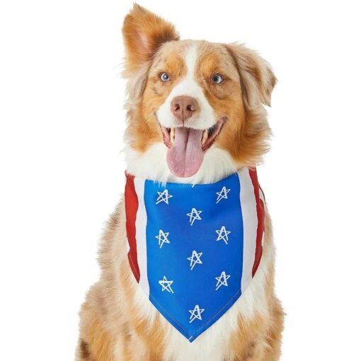 Frisco Stars & Stripes Dog & Cat Bandana -Cat Supply Store 249329 PT2. AC SS1800 V1632418569